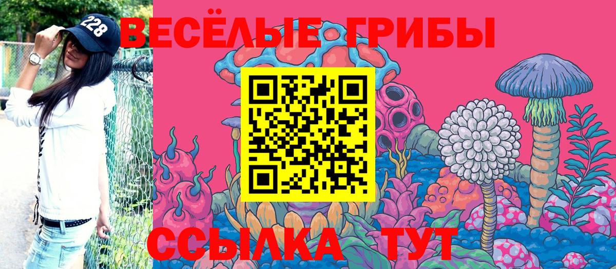 Мурманск  Галлюциногенные грибы Psilocybe  Вход с VPN 