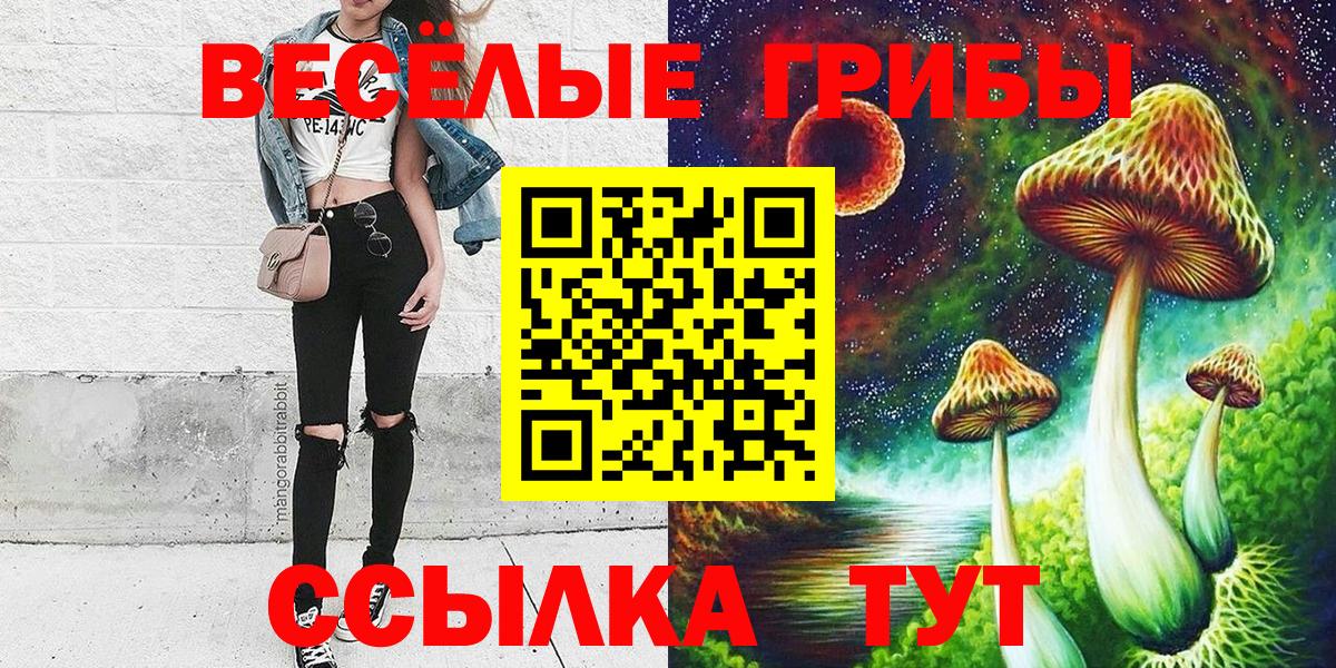 Псилоцибиновые грибы мицелий Мурманск